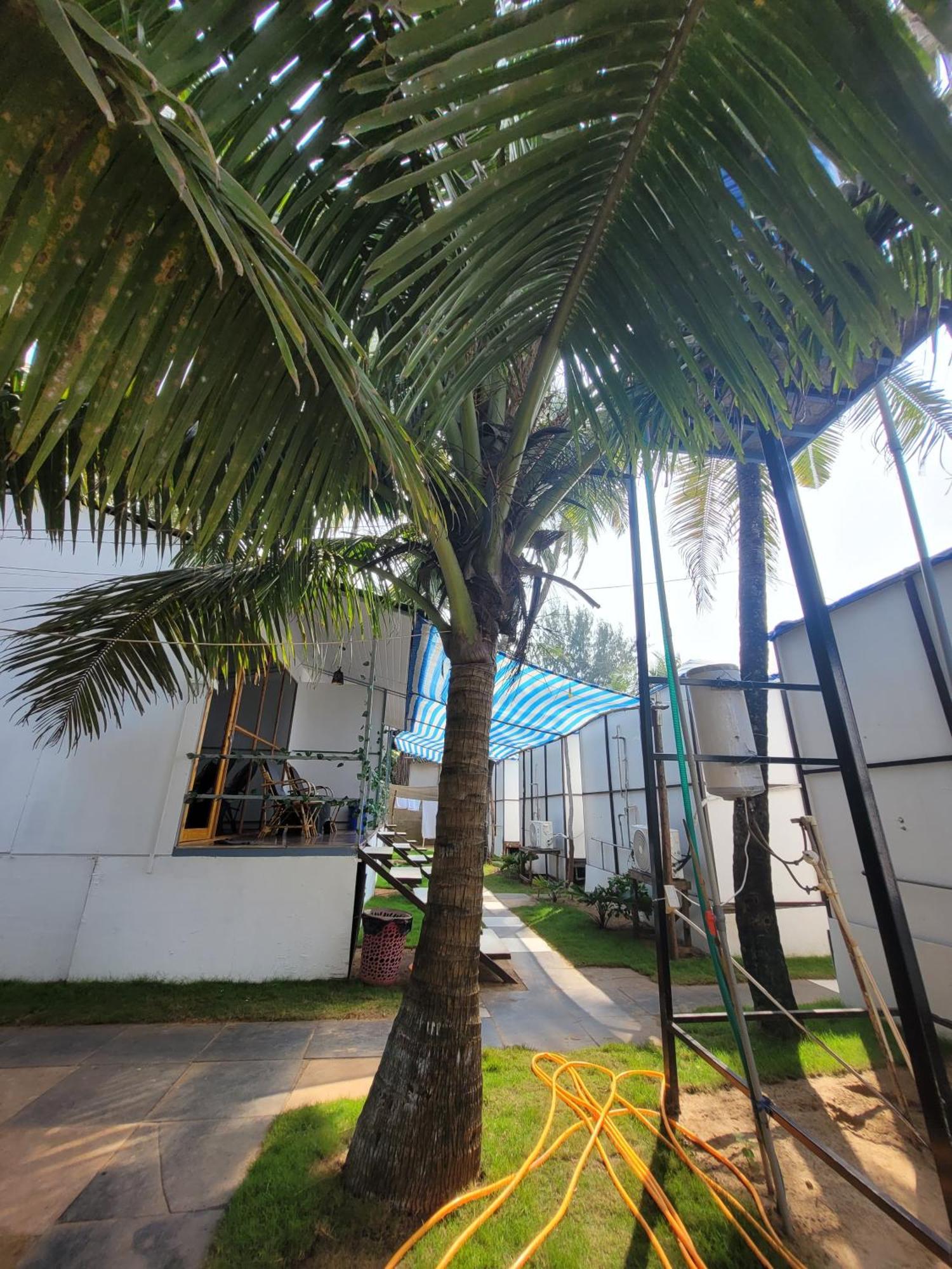 Kashinath Beach Huts Agonda Bagian luar foto